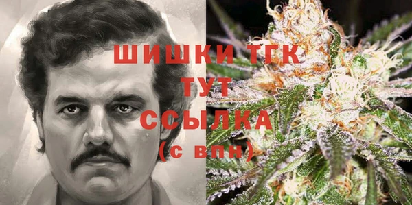 Альфа ПВП Лабытнанги