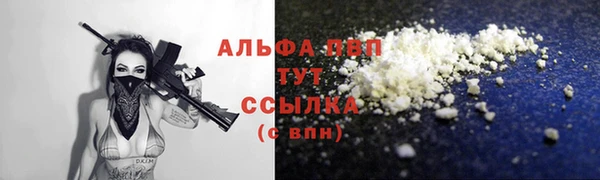 PSILOCYBIN Лагань