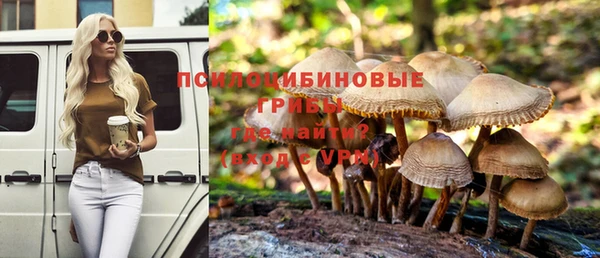 Альфа ПВП Лабытнанги