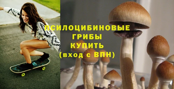 Альфа ПВП Лабытнанги