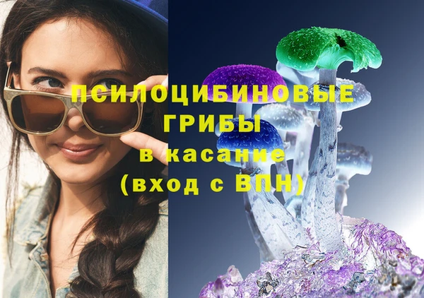 Альфа ПВП Лабытнанги