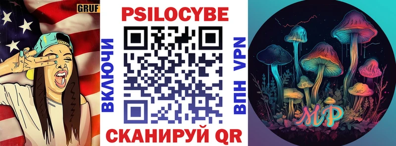 Купить  Ессентукская  Галлюциногенные грибы Psilocybe 