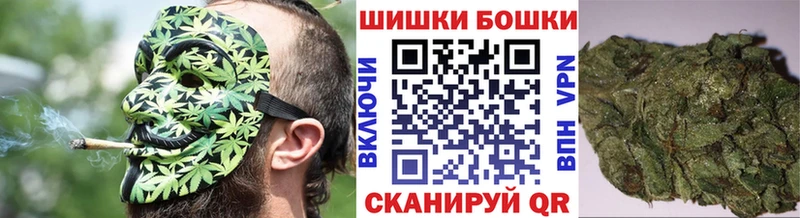 Бошки марихуана сатива Ессентукская
