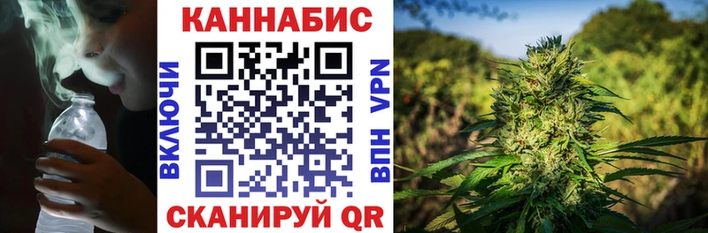Бошки марихуана планчик  Купить где  Ессентукская 